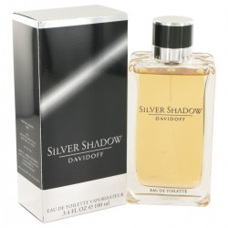 Perfume Masculino Silver...