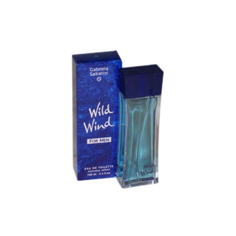 GABRIELA SABATINI WILD WIND FOR MEN 100ml Raridade